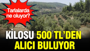 haber-gorseli-1787058070052